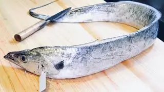 【包丁の角度・入れ方】身に骨が残りやすいタチウオのさばき方【塩焼き/酒蒸し】