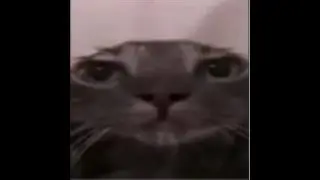 Кс го