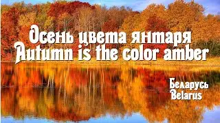 Осень цвета янтаря  Autumn is the color of amber
