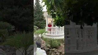 Гостья в беседке