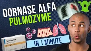 Dornase Alfa - Pulmozyme - All You Need to Know in 1 Minute