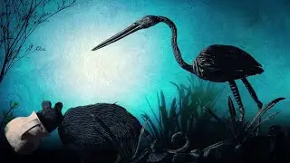 Fauna Tepoztlán Animal Festival | Promo