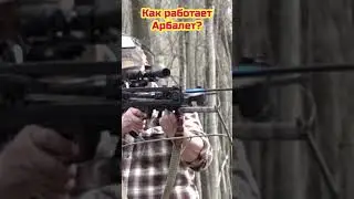 Выстрел из арбалета! Slow Motion. 