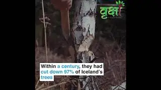 Restoration Of Lands                              #AdoptATreeChallenge #MissionVriksha #GoGreen