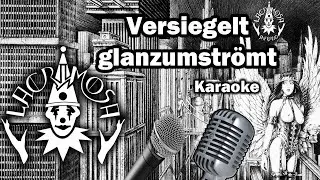 ►Lacrimosa | Versiegelt glanzumströmt | INSTRUMENTAL