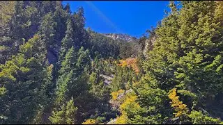 Mummy’s Forehead Summit Approach Gully | Mt Charleston Wilderness, Nevada