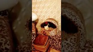 Всего одно слово утром изменит жизнь