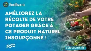 👉 Améliorez la récolte de votre potager grâce à ce produit naturel insoupçonné !