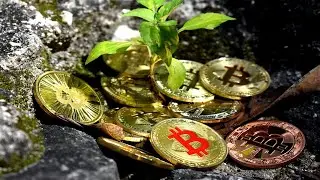 The Controversies of Mining Bitcoin | Crypteach - Learn Crypto for Beginners