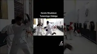 DOJO SHUDOKAN MARTIAL VERA