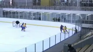 Техника хоккеиста. Часть 1