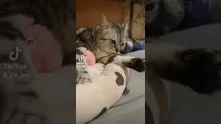 Королєва 😍