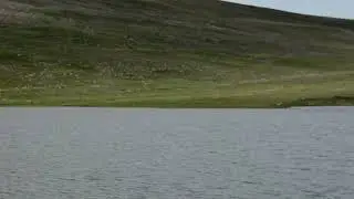 Baraja Gundé Adır é. 10.04.2024