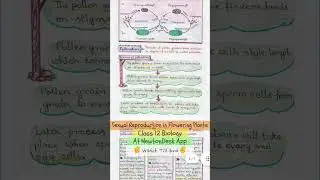Sexual Reproduction In Flowering plants Class 12 - Biology Handwritten Notes for NEET 📚| #shorts