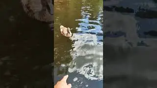 На лодке по реке Оредеж