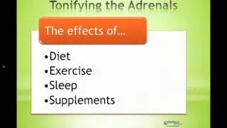 Stress -- How it Affects Us and How to Change That // WellBeingGPS.com