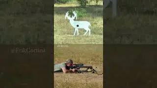 Cold bore shot:  500 yards.