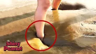 Hal Teraneh yang Banyak Orang Belum Melihat Sekalipun Seumur Hidupnya