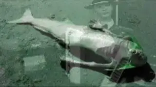 Ivoux - 'Rusalka' / Frozen