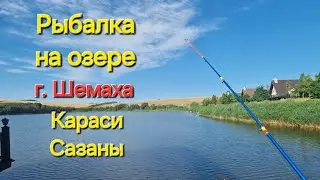 Рыбалка на озере. Сазаны и караси