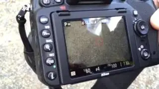 Nikon D750 Display Monitor Problems
