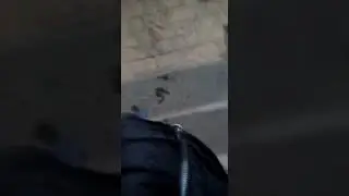 Мини влог 6-7-8ян