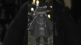 Toad Sage | #ffxiv #ff14 #dawntrail #glamour #ffxivmemes