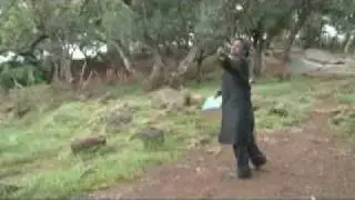 TJ5