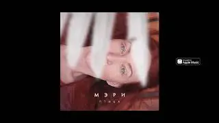 красивая песня Мэри - Птица