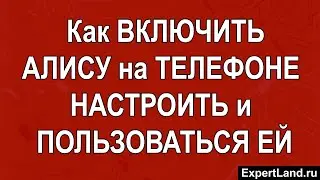 Как включить Алису на телефоне, как правильно настроить и пользоваться