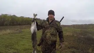 ОХОТА НА ЗАЙЦА ПО ЧЕРНОТРОПУ