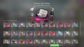 200x 2020 RMR Sticker Capsule Opening Part 1 | CSGO