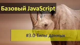 Какие типы данных есть в языке JavaScript. Значения в языке JavaScript