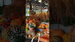 КАРПАТИ // БУКОВЕЛЬ #short #shorts #shortvideo #nature #українськийютуб #українськийконтент