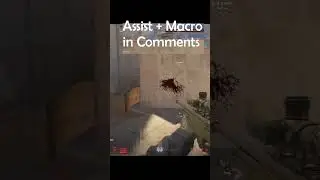 CS2 recoil macro: shiesty