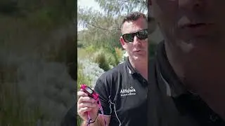 AllSpark Pink McGrath Head Torch