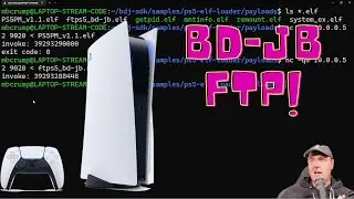 Enabling BD-JB with FTP on PS5 for Themes and a Persistent Web Browser on Home Menu