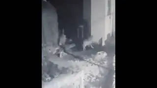KURTLAR KANGALI TAM PARCALAYACAKTI Kİ