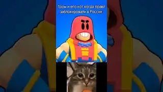 #раша #кот #рекомендации #бравлстарс #втоп #рек