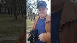 Раздам собачек