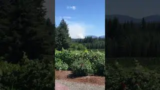 🚨ALERT🚨WILDFIRE 30 Acres In Size