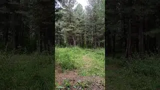 5 сентября 2024 г.