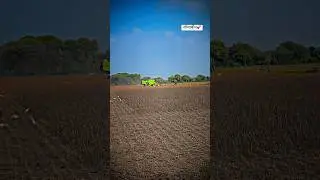 Harvesting Soyabean Black Gold #90dayscrop #village #dhakadfarming #soyabean #desi_chhora