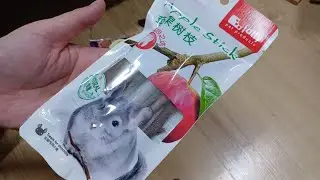 토끼 이갈이 사과나무 개봉기