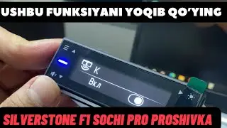 Silverstone  F1 Sochi PRO proshivka nastroyka