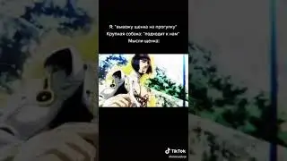 Джо Джо мемы