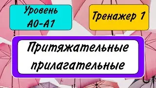 ТРЕНАЖЕР 1 притяжательные прилагательные | уровень А0-А1