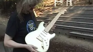 Fender Maestro Alex Gregory Signature 7-String Stratocasters Collection