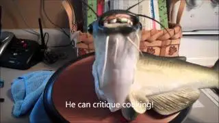 WISECRACK WILLY, THE HILARIOUS SMARTMOUTHED TALKING FISH!