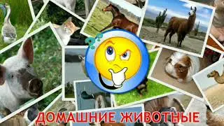 Изучаем животных. Для детей. Лесные, дикие и домашние звери.  Какие звуки издают животные.